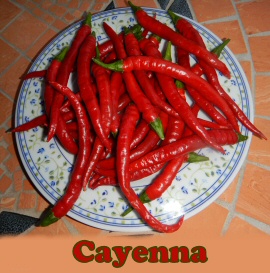cayenna